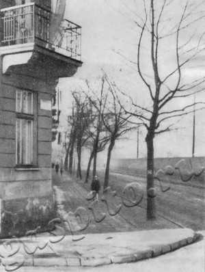 Подробнее о статье Фотодокументы в помощь организаторам Ленинской комнаты в школе (Ед.хр. 5092)