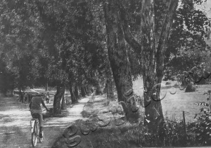 Подробнее о статье Фотодокументы в помощь организаторам Ленинской комнаты в школе (Ед.хр. 5153)