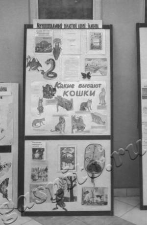 Подробнее о статье Ед.хр. 537