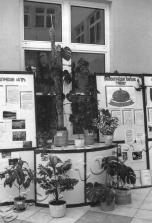 Подробнее о статье Ед.хр. 543