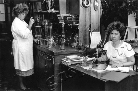 Подробнее о статье Ед.хр. 898