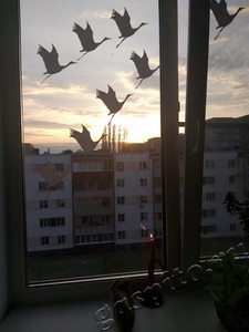 Подробнее о статье ГАСПИТО принял участие во Всероссийской акции «Окна Победы»