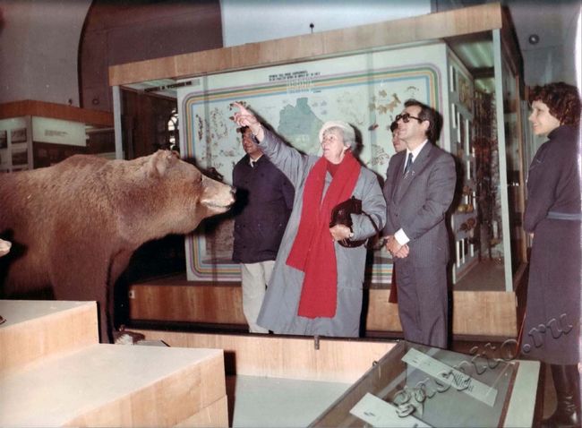 Подробнее о статье Ед.хр. 3420