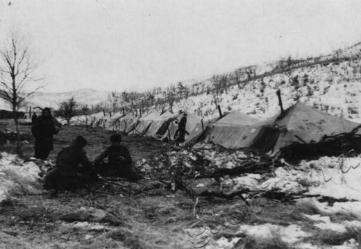 Подробнее о статье Ед.хр. 6. Ед.уч. 2