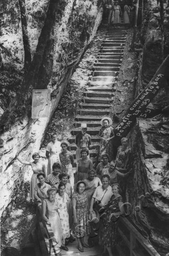 Подробнее о статье Ед.хр. 95. Ед.уч.1