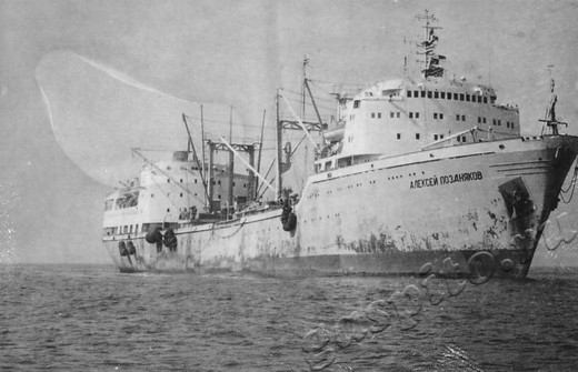 Подробнее о статье Ед.хр. 228, Ед.уч.1