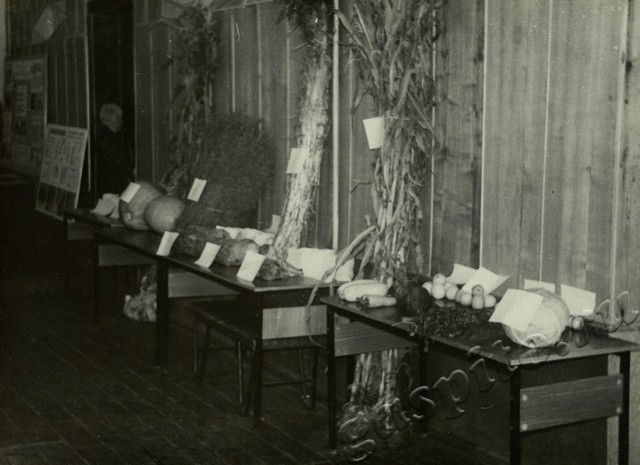 Подробнее о статье Ед.хр. 8, Ед.уч.10.