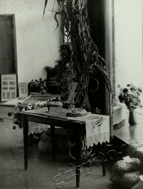 Подробнее о статье Ед.хр. 9, Ед.уч.4.