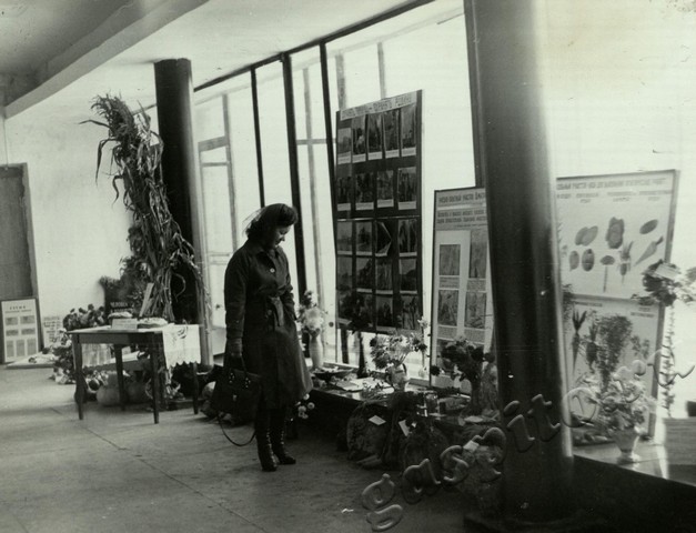 Подробнее о статье Ед.хр. 9, Ед.уч.7.