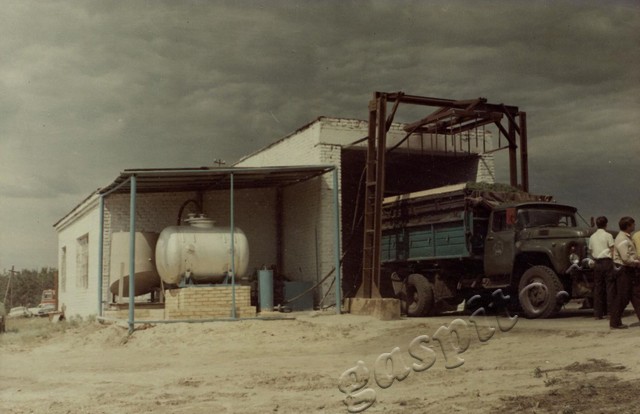 Подробнее о статье Ед.хр. 11, Ед.уч.45.