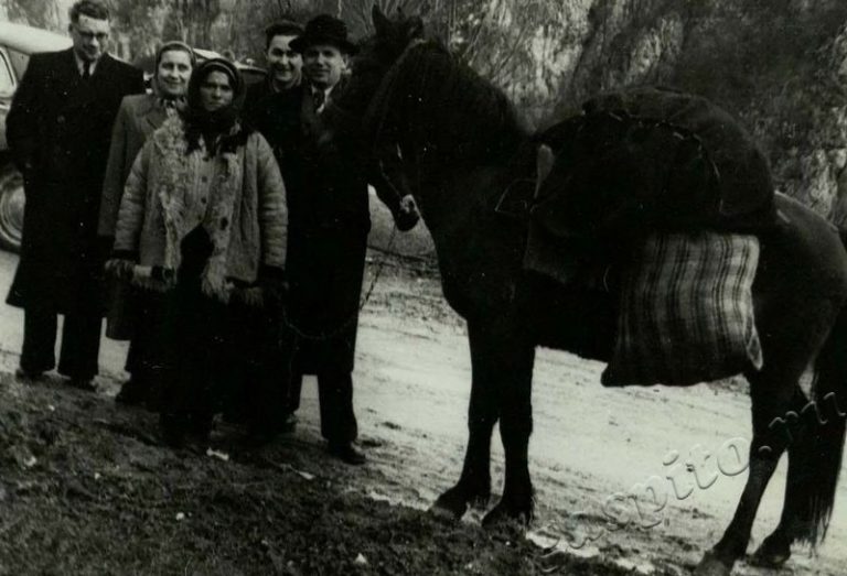 Подробнее о статье Ед.хр. 14, Ед.уч.11.