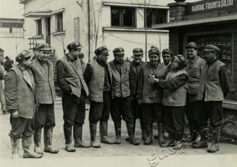 Подробнее о статье Ед.хр. 14, Ед.уч.24.