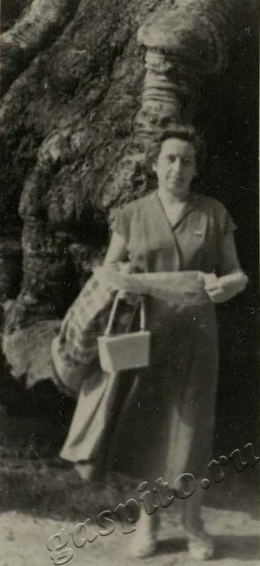 Подробнее о статье Ед.хр. 14, Ед.уч.83.