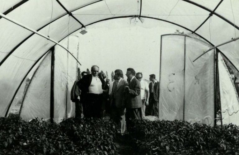 Подробнее о статье Ед.хр. 17, Ед.уч.17.