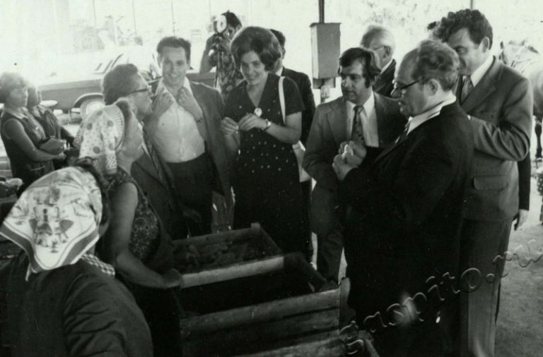 Подробнее о статье Ед.хр. 17, Ед.уч.18.