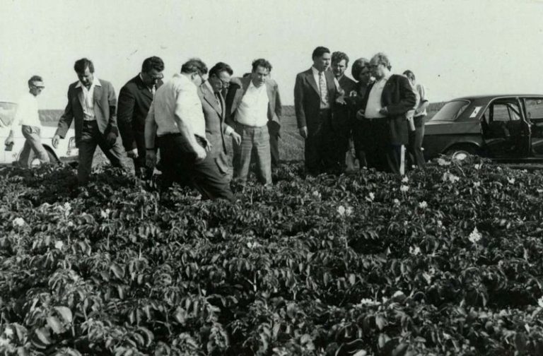 Подробнее о статье Ед.хр. 17, Ед.уч.19.