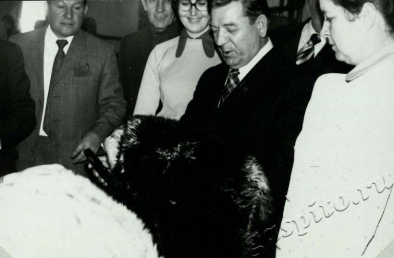 Подробнее о статье Ед.хр. 19, Ед.уч.16.