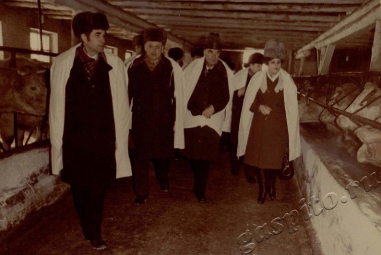 Подробнее о статье Ед.хр. 20, Ед.уч.11.