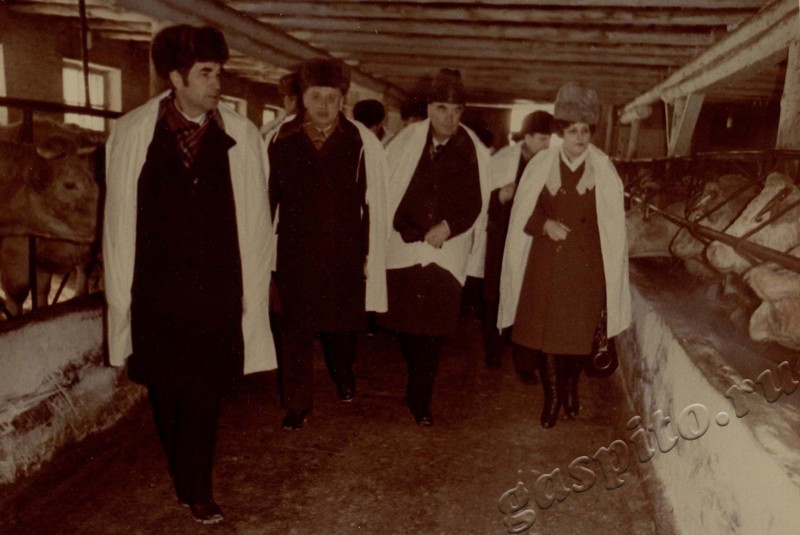 Подробнее о статье Ед.хр. 20, Ед.уч.11.