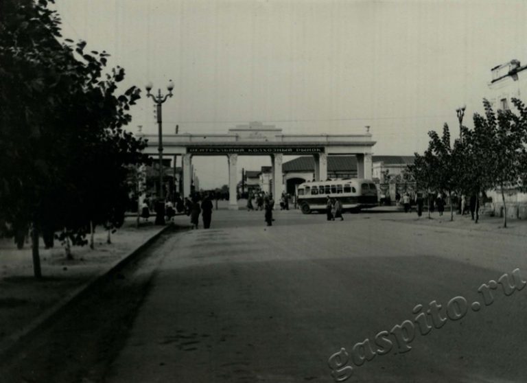 Подробнее о статье Ед.хр. 25, Ед.уч.13.