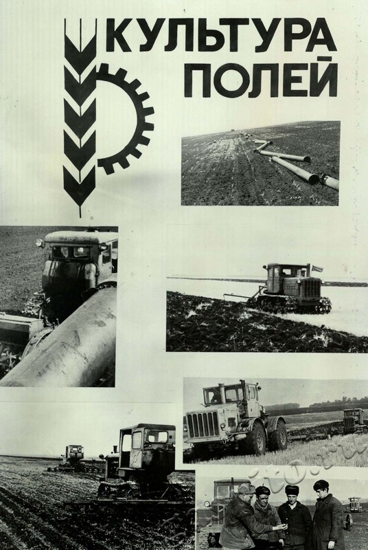 Подробнее о статье Ед.хр. 31, Л.8.