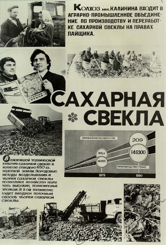 Подробнее о статье Ед.хр. 31, Л.12