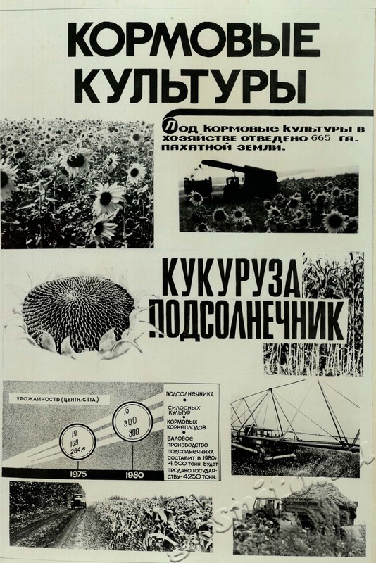 Подробнее о статье Ед.хр. 31, Л.13.