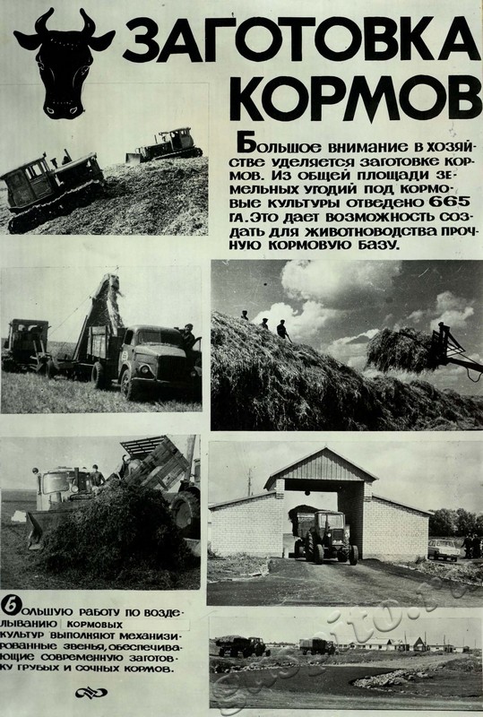 Подробнее о статье Ед.хр. 31, Л.14.