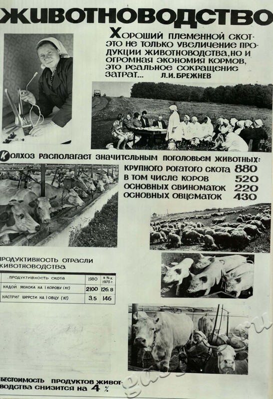 Подробнее о статье Ед.хр. 31, Л.16.