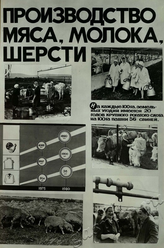 Подробнее о статье Ед.хр. 31, Л.17.