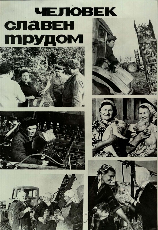 Подробнее о статье Ед.хр. 31, Л.26.