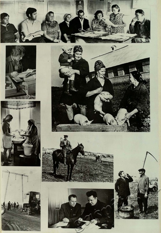 Подробнее о статье Ед.хр. 31, Л.27.