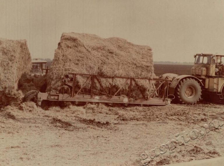 Подробнее о статье Ед.хр. 34, Ед.уч.16.