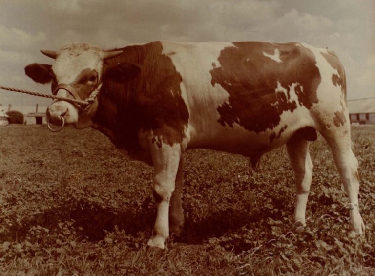 Подробнее о статье Ед.хр. 38, Ед.уч.3.