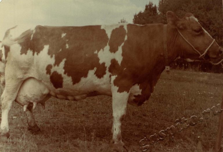 Подробнее о статье Ед.хр. 38, Ед.уч.4.