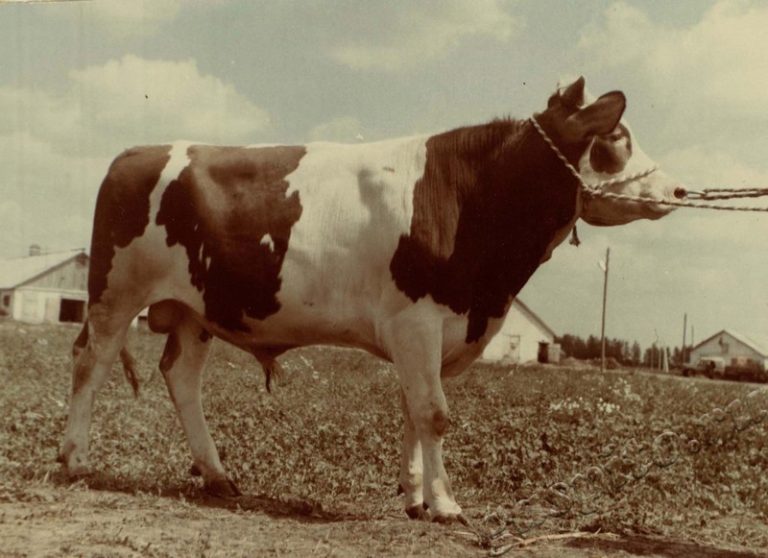 Подробнее о статье Ед.хр. 38, Ед.уч.5.