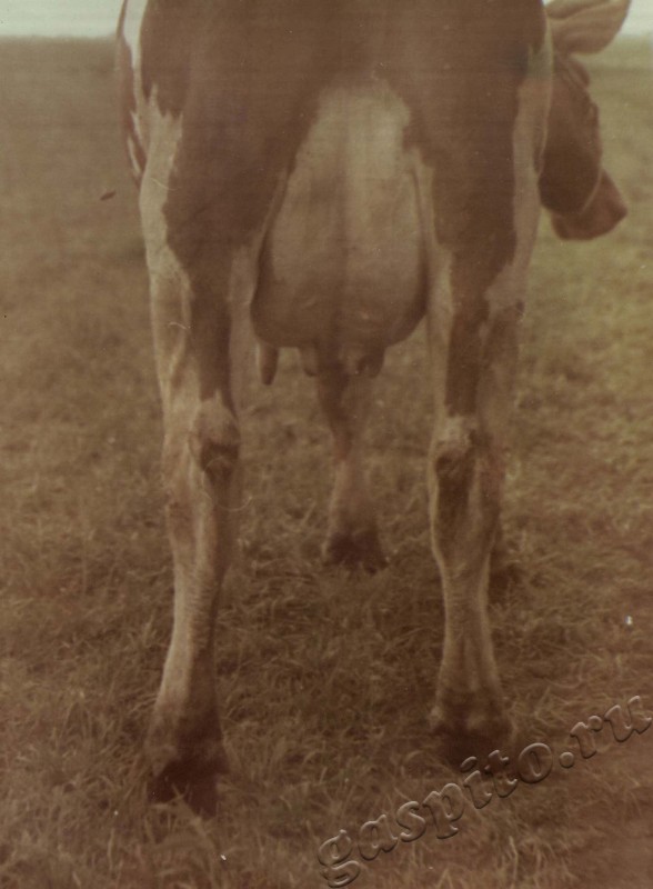 Подробнее о статье Ед.хр. 38, Ед.уч.22.