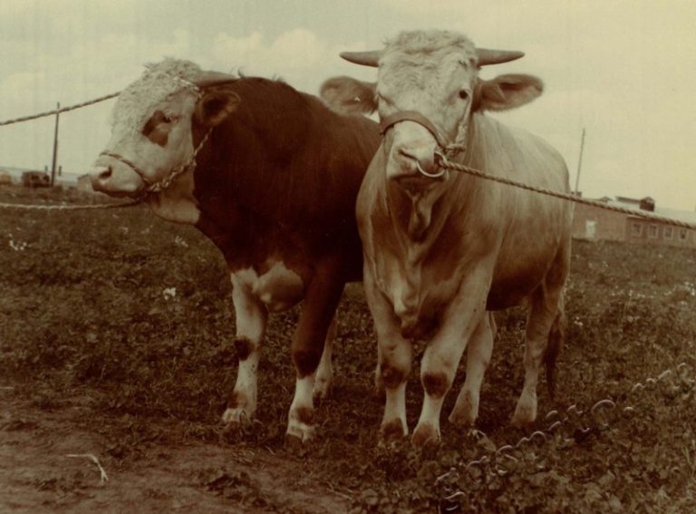 Подробнее о статье Ед.хр. 38, Ед.уч.23.