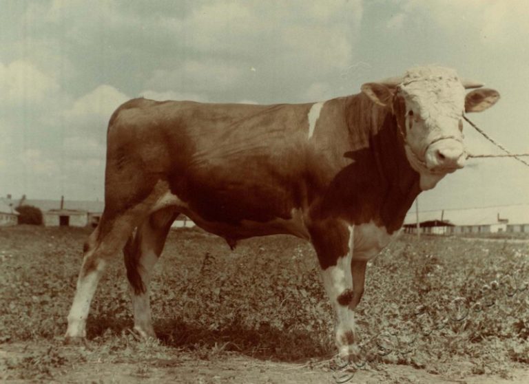 Подробнее о статье Ед.хр. 38, Ед.уч.25.