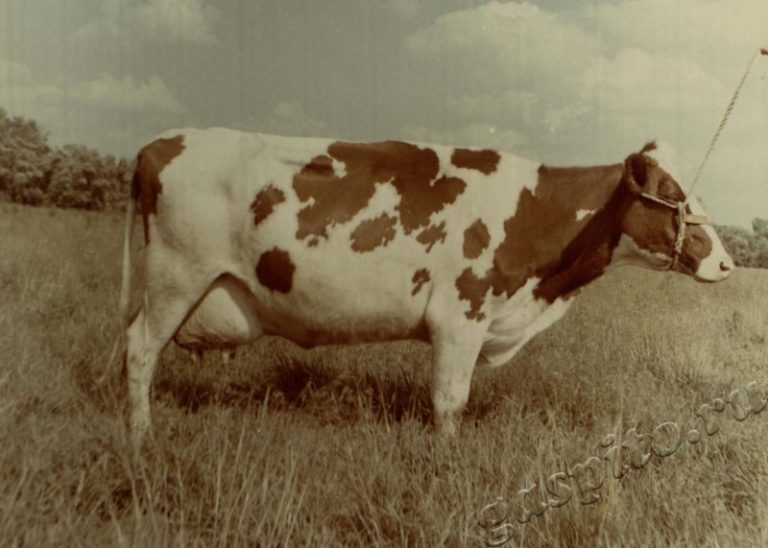 Подробнее о статье Ед.хр. 38, Ед.уч.29.