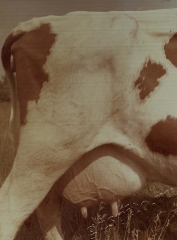 Подробнее о статье Ед.хр. 38, Ед.уч.30.