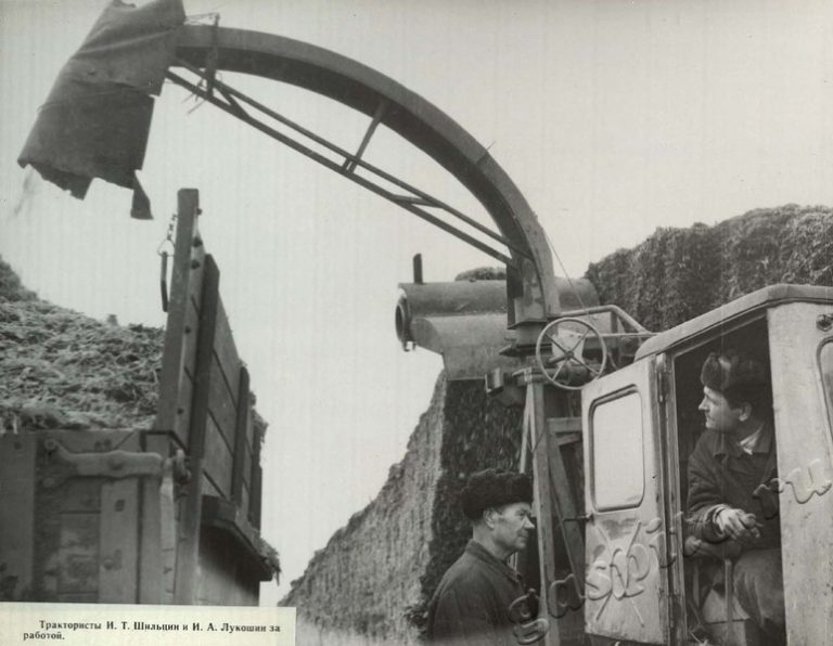 Подробнее о статье Ед.хр. 39, Ед.уч.65.