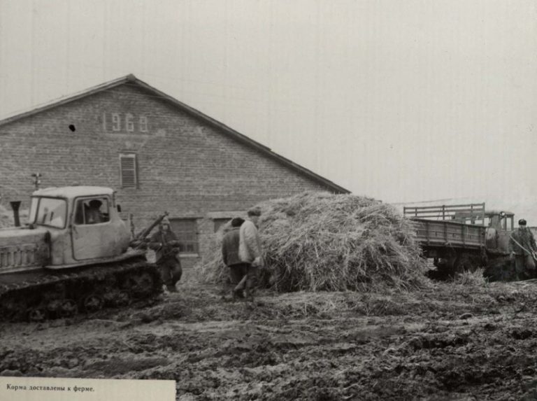 Подробнее о статье Ед.хр. 39, Ед.уч.78.