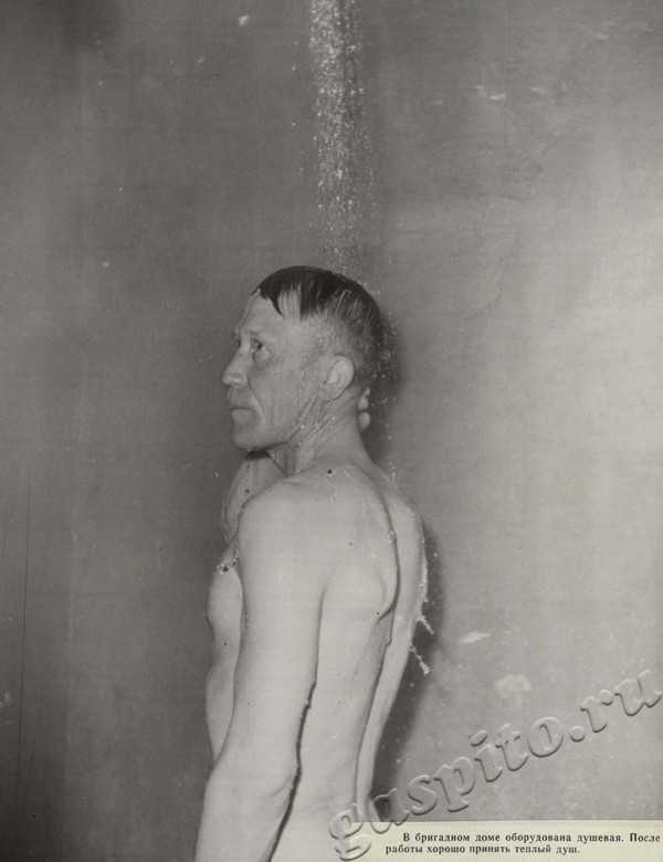 Подробнее о статье Ед.хр. 39, Ед.уч.84.