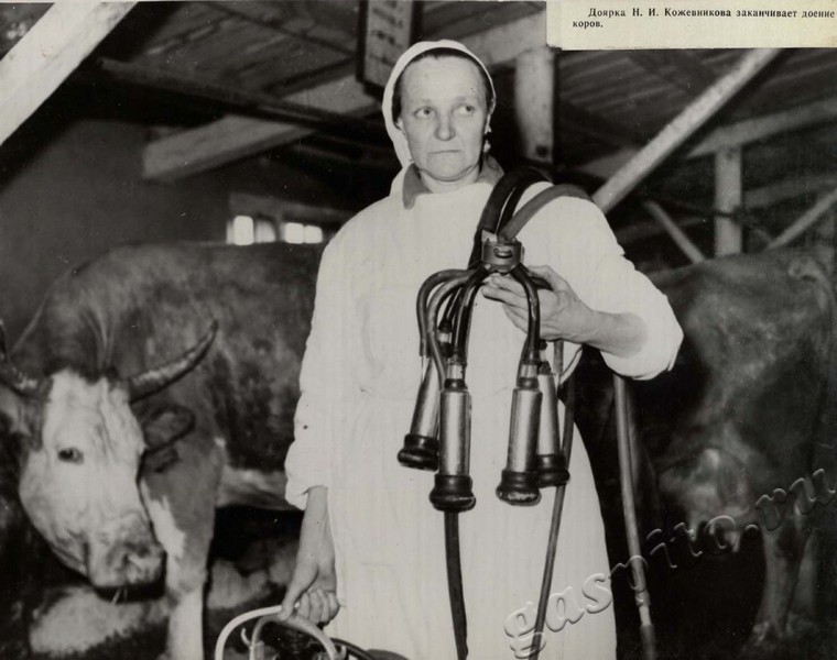 Подробнее о статье Ед.хр. 39, Ед.уч.88.