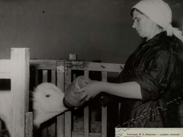 Подробнее о статье Ед.хр. 39, Ед.уч.92.