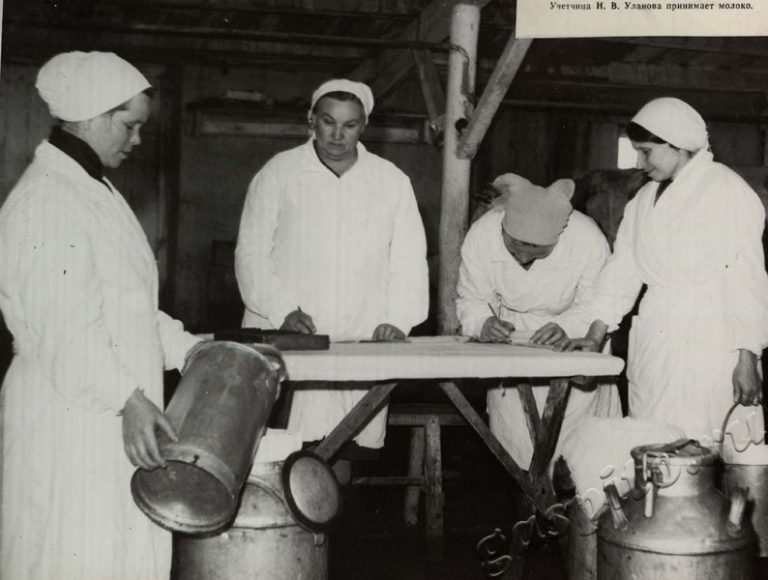 Подробнее о статье Ед.хр. 39, Ед.уч.99