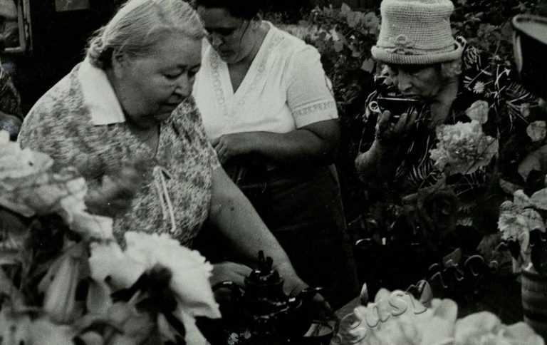 Подробнее о статье Ед.хр. 42, Ед.уч.156.