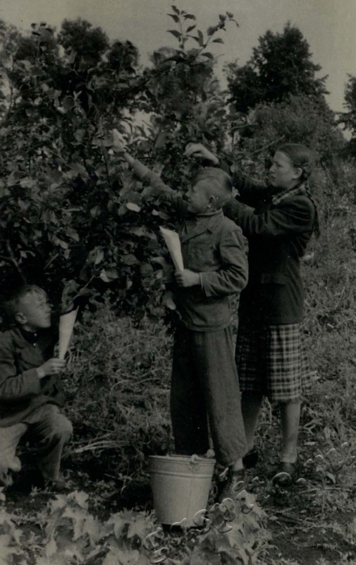 Подробнее о статье Ед.хр. 47, Ед.уч.25.