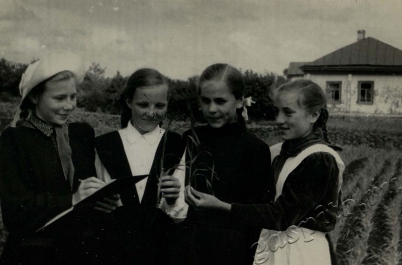 Подробнее о статье Ед.хр. 47, Ед.уч.26.